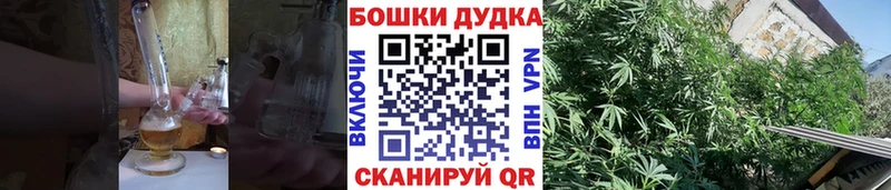 Каннабис индика  Демидов 